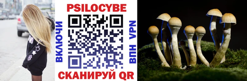 Псилоцибиновые грибы ЛСД Камызяк