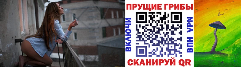 Псилоцибиновые грибы Psilocybine cubensis  гидра ссылка  Камызяк 